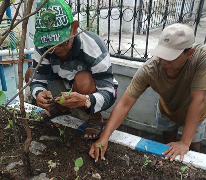 calon-ketua-rw-08-kepuh-permai-siswardjo-ajak-warga-tanam-bibit-sayuran-buah