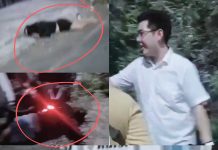 Brakk! Tamu dan LC Tewas Usai Ditabrak Innova di Jalan Kenjeran