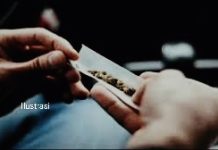 Pelepasan Tiga Oknum Kurator Pesta Ganja Diduga Ratusan Juta, Benarkah?